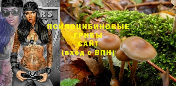 прущие грибы Михайловка