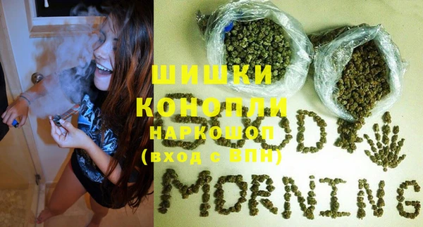 прущие грибы Михайловка