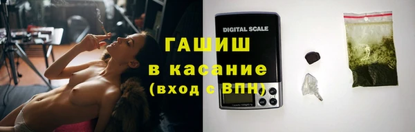 прущие грибы Михайловка