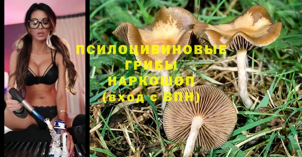 стафф Белая Холуница