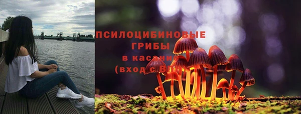 стафф Белая Холуница