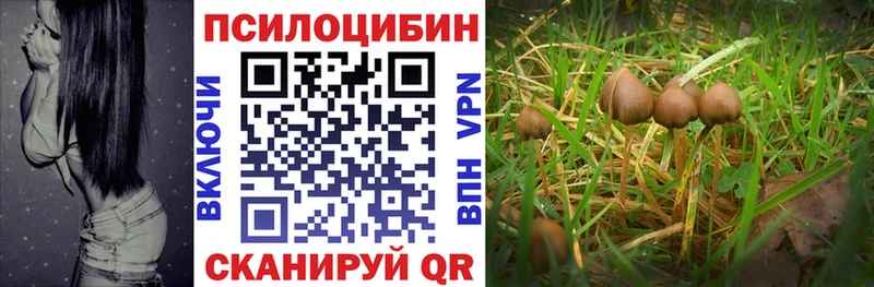 Галлюциногенные грибы мицелий  hydra ссылка  Сарапул 