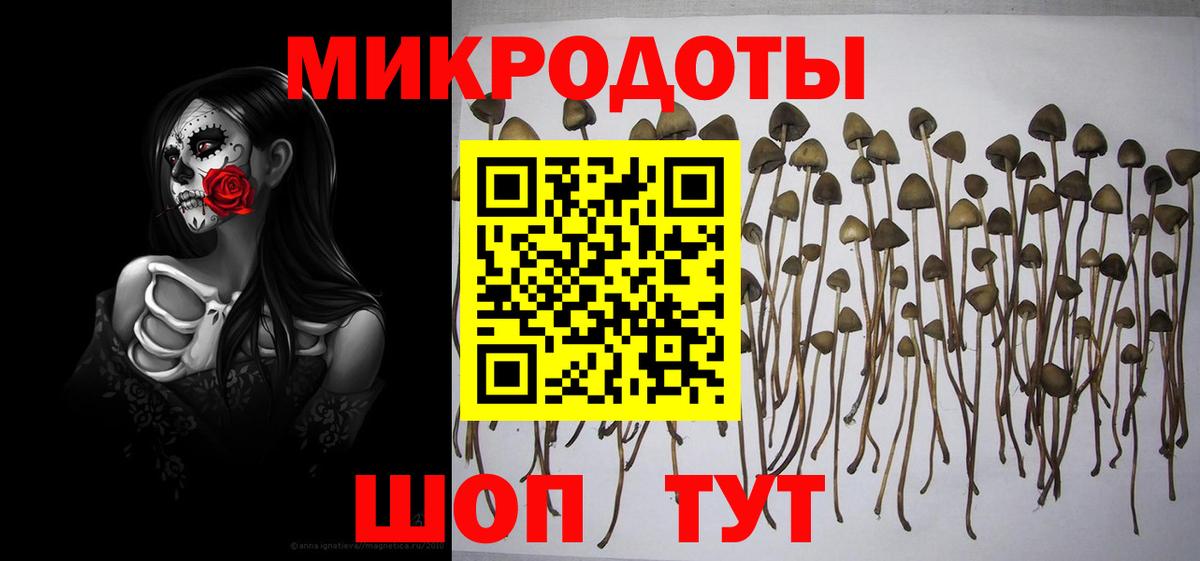 даркнет сайт  Псилоцибиновые грибы мицелий  Сарапул  Галлюциногенные грибы Magic Shrooms 